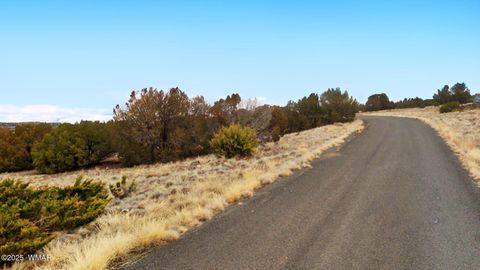 Tiny photo for 83 County Road 5083, Concho, AZ 85924 (MLS # 258761)