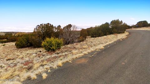 Tiny photo for 83 County Road 5083, Concho, AZ 85924 (MLS # 258761)