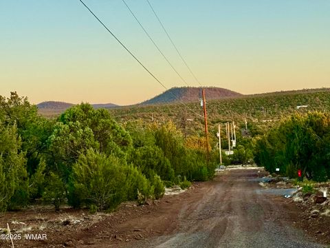 Tiny photo for 6 N3086 1.15 Acres, Vernon, AZ 85940 (MLS # 256427)