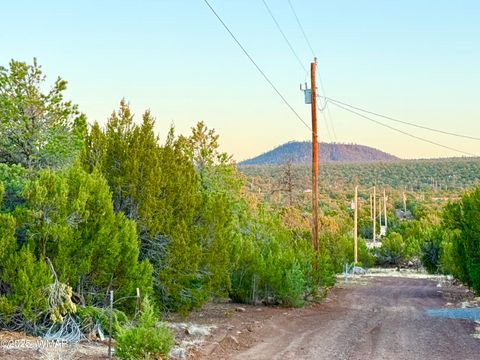 Tiny photo for 6 N3086 1.15 Acres, Vernon, AZ 85940 (MLS # 256427)