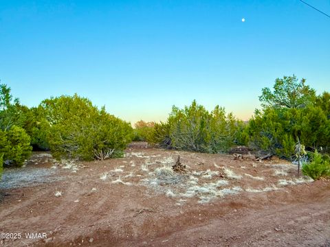 Tiny photo for 6 N3086 1.15 Acres, Vernon, AZ 85940 (MLS # 256427)