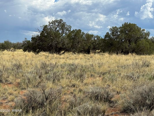 2445 ATHAPASCAN DR, HEBER, AZ 85928 - Image d6ef03e2c47e00a59476e9f60678eb2f/427725606