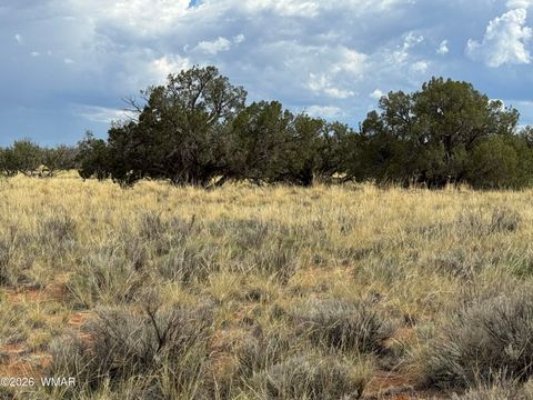 Photo of 2445 Athapascan Drive, Heber, AZ 85928 (MLS # 261838)