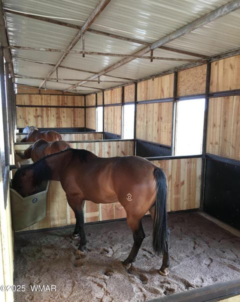 Tiny photo for 7545 E Sherwood Lane, Snowflake, AZ 85937 (MLS # 258527)