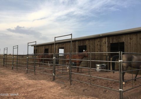 Tiny photo for 7545 E Sherwood Lane, Snowflake, AZ 85937 (MLS # 258527)