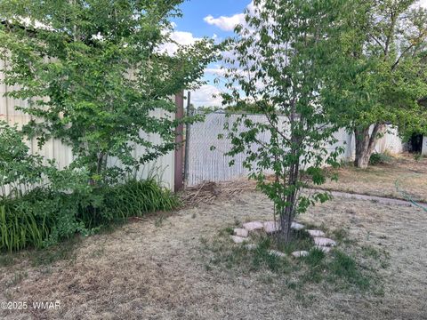 Tiny photo for 461 W Center Street, Snowflake, AZ 85937 (MLS # 255430)