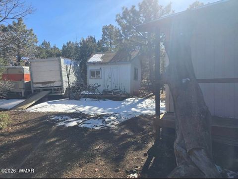 Tiny photo for 4 Co Road, Vernon, AZ 85940 (MLS # 259721)