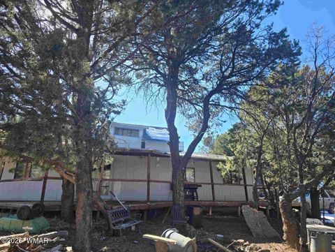 Tiny photo for 4 Co Road, Vernon, AZ 85940 (MLS # 259721)