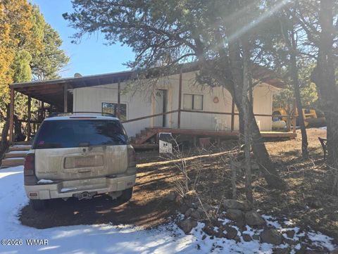 Tiny photo for 4 Co Road, Vernon, AZ 85940 (MLS # 259721)
