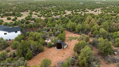 Tiny photo for 1867 Sunburst Road, Show Low, AZ 85901 (MLS # 257655)