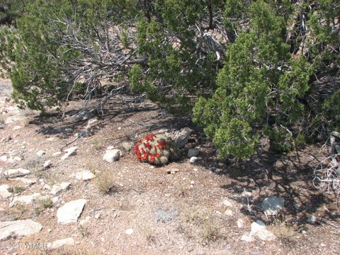 Tiny photo for 546 Flat Bush Road, Heber, AZ 85928 (MLS # 236321)