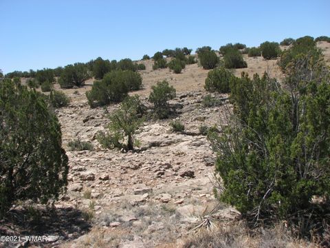 Tiny photo for 546 Flat Bush Road, Heber, AZ 85928 (MLS # 236321)