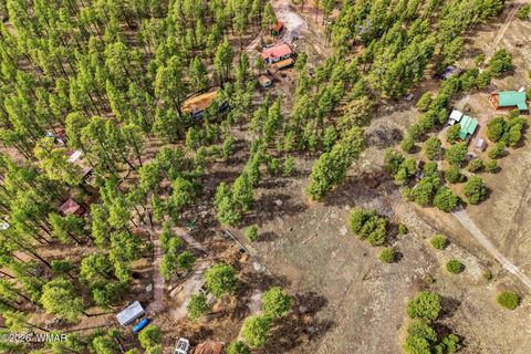 Tiny photo for 6 N CR 2148, Alpine, AZ 85920 (MLS # 259867)