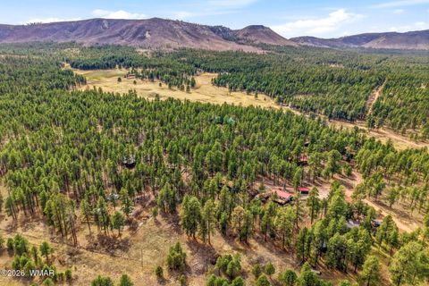 Tiny photo for 6 N CR 2148, Alpine, AZ 85920 (MLS # 259867)