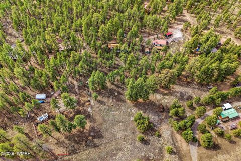 Tiny photo for 6 N CR 2148, Alpine, AZ 85920 (MLS # 259867)