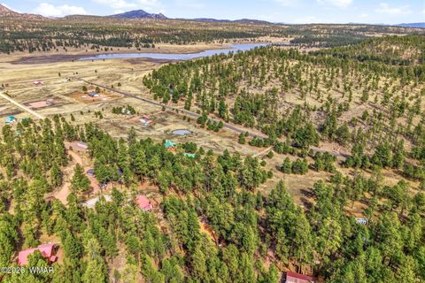 Tiny photo for 6 N CR 2148, Alpine, AZ 85920 (MLS # 259867)