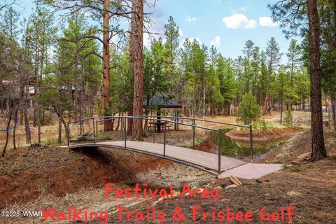 Tiny photo for 2241 Saddlebag Lane, Show Low, AZ 85901 (MLS # 258406)