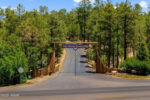 Tiny photo for 2241 Saddlebag Lane, Show Low, AZ 85901 (MLS # 258406)