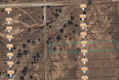 Tiny photo for 3985 Coronado Road, Snowflake, AZ 85937 (MLS # 246917)