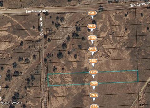 Tiny photo for 3985 Coronado Road, Snowflake, AZ 85937 (MLS # 246917)
