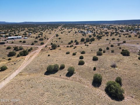 Tiny photo for 4508 Appaloosa Road, Snowflake, AZ 85937 (MLS # 253476)