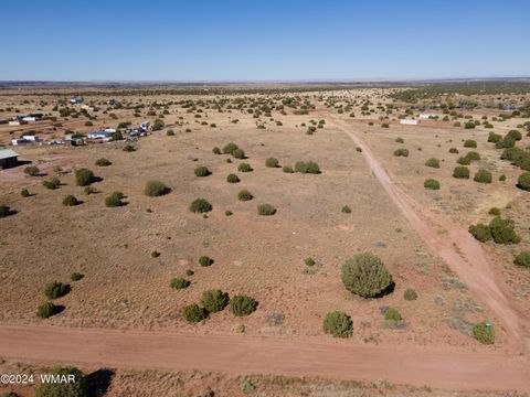 Tiny photo for 4508 Appaloosa Road, Snowflake, AZ 85937 (MLS # 253476)