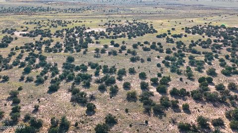 Tiny photo for TBD N5504, Concho, AZ 85924 (MLS # 258597)