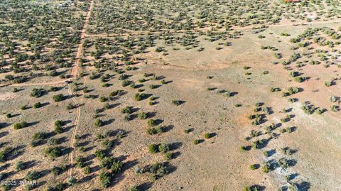 Tiny photo for TBD N5504, Concho, AZ 85924 (MLS # 258597)