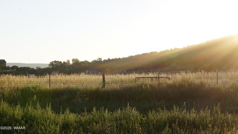 Tiny photo for 504 E 4Th Street, Eagar, AZ 85925 (MLS # 261775)