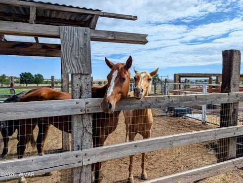 Tiny photo for 504 E 4Th Street, Eagar, AZ 85925 (MLS # 261775)