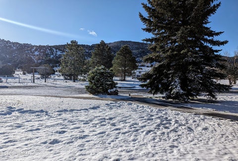 Tiny photo for 504 E 4Th Street, Eagar, AZ 85925 (MLS # 261775)