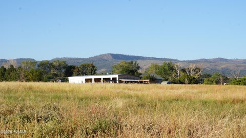 Tiny photo for 504 E 4Th Street, Eagar, AZ 85925 (MLS # 261775)