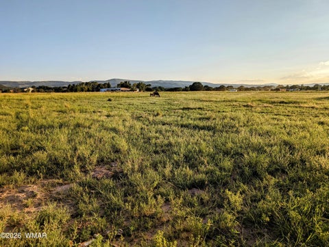 Tiny photo for 504 E 4Th Street, Eagar, AZ 85925 (MLS # 261775)