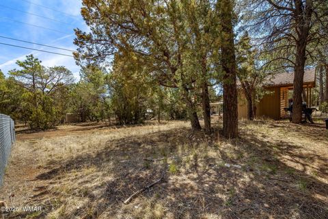 Tiny photo for 2979 Western Star Drive, Overgaard, AZ 85933 (MLS # 255744)