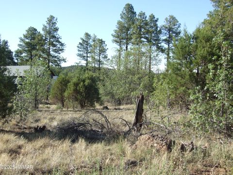 Tiny photo for Parcel E Lamb Dr, Pinedale, AZ 85934 (MLS # 257568)