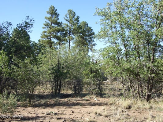 LAMB DR, PINEDALE, AZ 85934 - Image d8f414c4e314d562c6a5e26c763cd6bb/2548398176