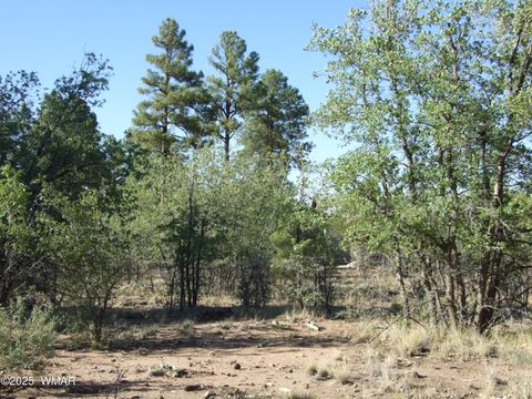 Photo of Parcel E Lamb Dr, Pinedale, AZ 85934 (MLS # 257568)