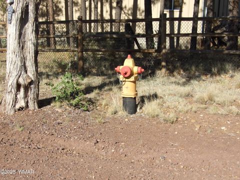 Tiny photo for Parcel E Lamb Dr, Pinedale, AZ 85934 (MLS # 257568)