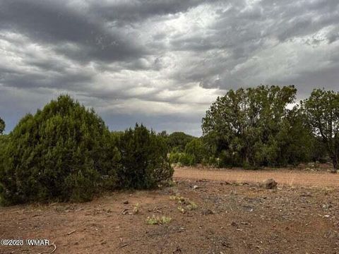 Tiny photo for 3845 Apache Road, Snowflake, AZ 85937 (MLS # 251286)