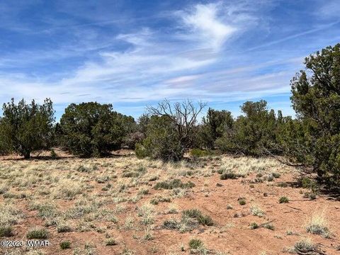 Photo of 3845 Apache Road, Snowflake, AZ 85937 (MLS # 251286)