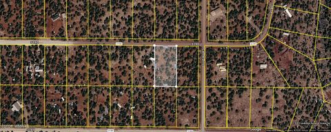 Photo of 30 County Road 3190, Vernon, AZ 85940 (MLS # 260270)