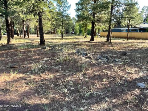 Photo of 5151 Saddle Strap Way, Pinetop, AZ 85935 (MLS # 256692)