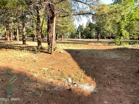 Tiny photo for 5151 Saddle Strap Way, Pinetop, AZ 85935 (MLS # 256692)