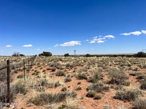 Tiny photo for 5347 Old Woodruff Road, Snowflake, AZ 85937 (MLS # 259838)