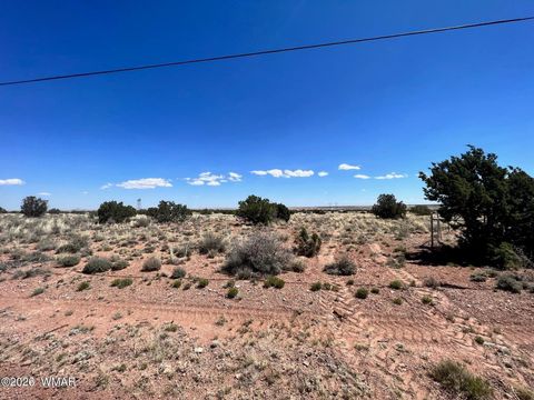 Tiny photo for 5347 Old Woodruff Road, Snowflake, AZ 85937 (MLS # 259838)