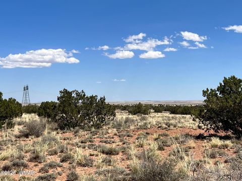 Tiny photo for 5347 Old Woodruff Road, Snowflake, AZ 85937 (MLS # 259838)