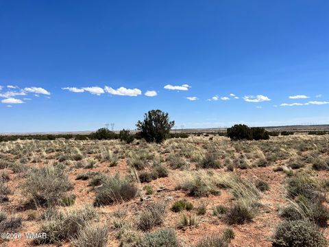 Tiny photo for 5347 Old Woodruff Road, Snowflake, AZ 85937 (MLS # 259838)
