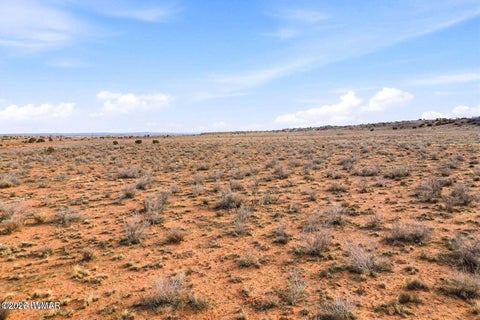 Tiny photo for 9xxx Miller Trail, Snowflake, AZ 85937 (MLS # 262181)