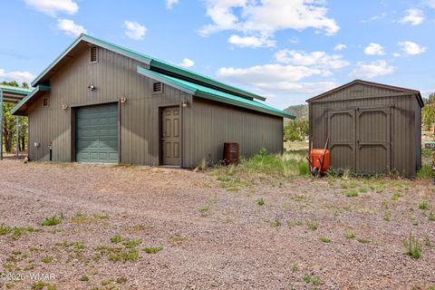 Tiny photo for 6 County Road 2099, Alpine, AZ 85920 (MLS # 261558)