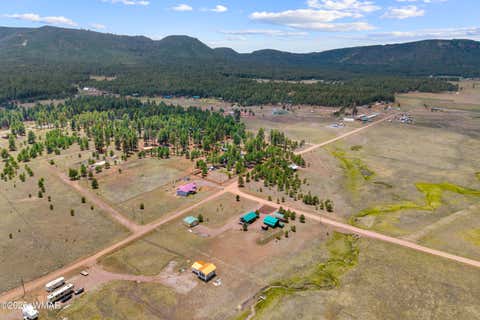 Tiny photo for 6 County Road 2099, Alpine, AZ 85920 (MLS # 261558)